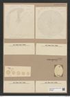 Coscinodiscus sp. (de-Toni-Nr.: Genus 202) Zeichnungen Sammlung Grunow Nr. 8955 (NHMW-BOT-W0378642)